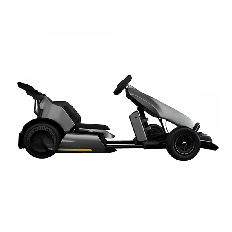 Go Kart Pro2 untuk Dewasa dan  - Kids Electric Scooter ulasan dan harga
